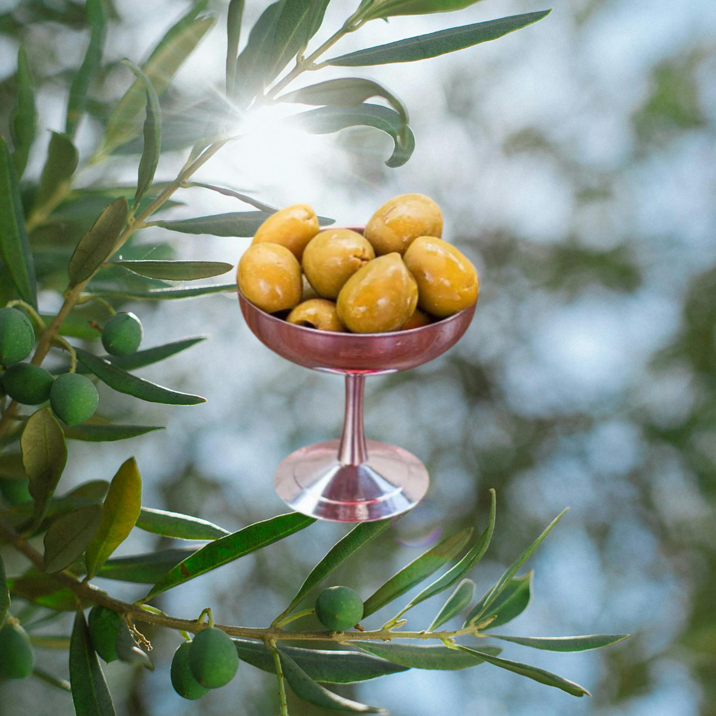 Nocellara oliver (sockersaltade)